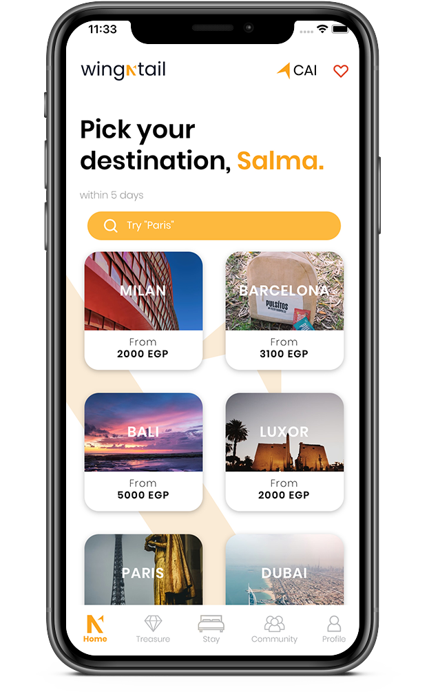 WingNTail APP